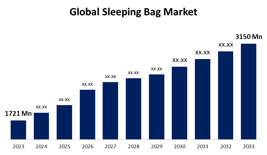 Comprehensive Analysis of the Global Sleeping Bag Market Trends and Consumer Behavior