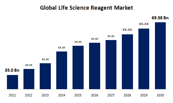 Global Life Science Reagents Market Size Overview: Share, Scope & Future Forecast